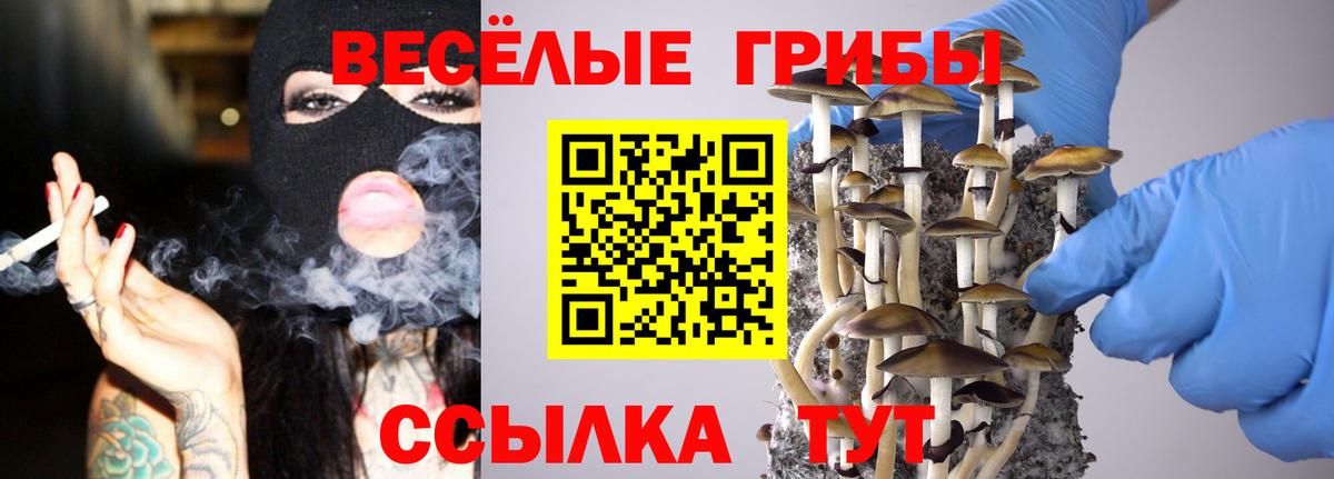 Псилоцибиновые грибы мухоморы Когалым